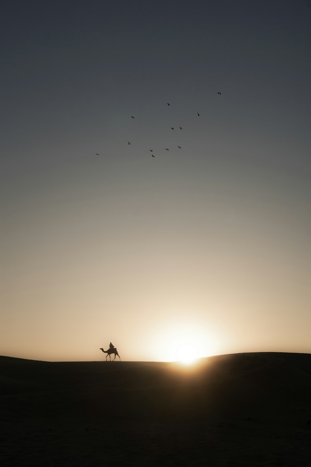 a person riding a horse across a field at sunset