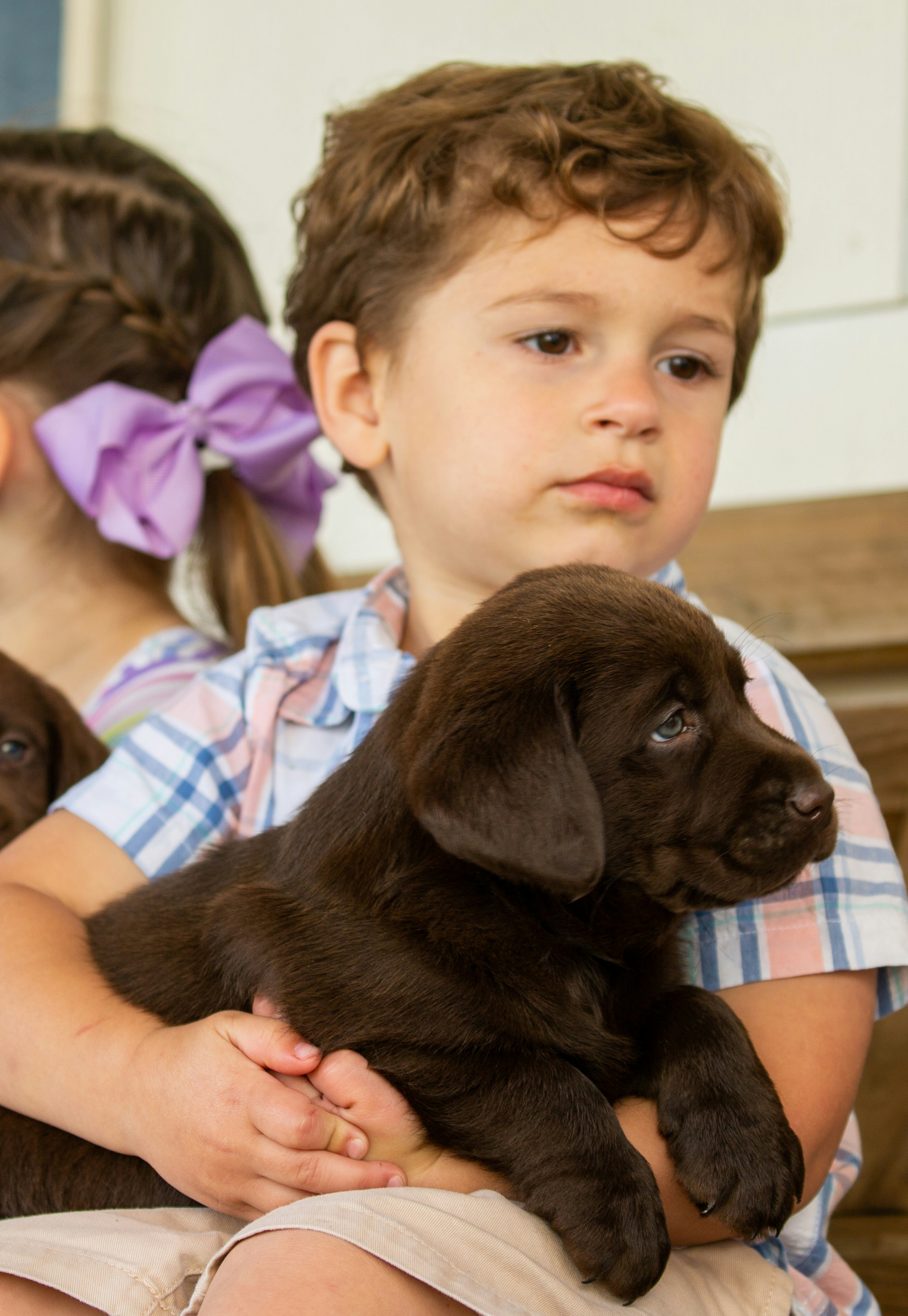 puppy kindergarten class