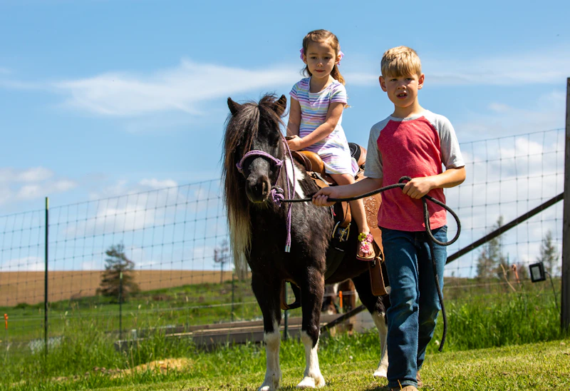Two children with a pony
