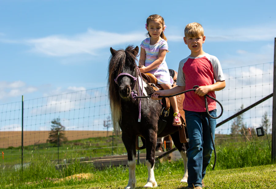 Two children with a pony