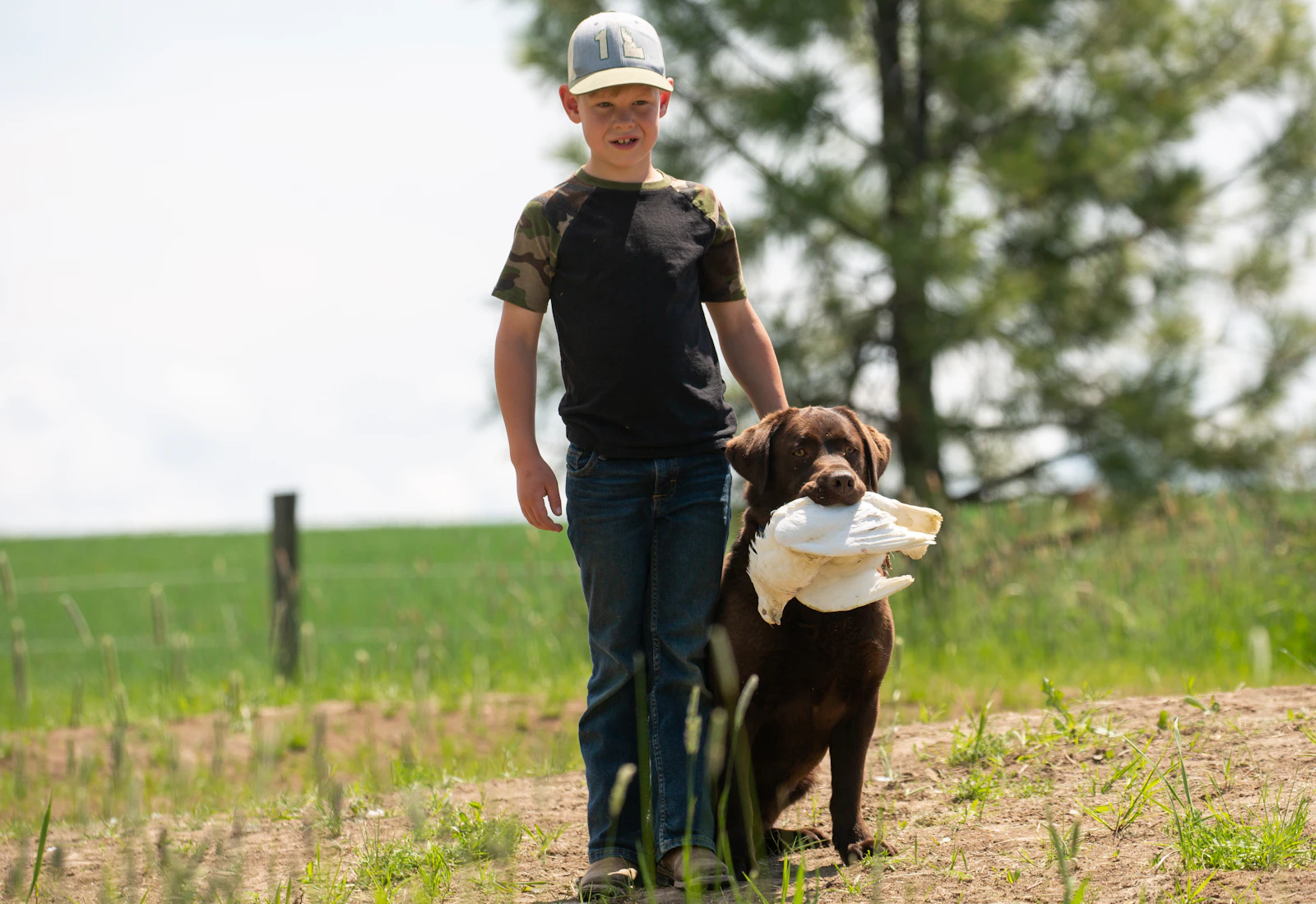 A young boy crouched beside a friendly brown dog outdoors during a gentle visit
