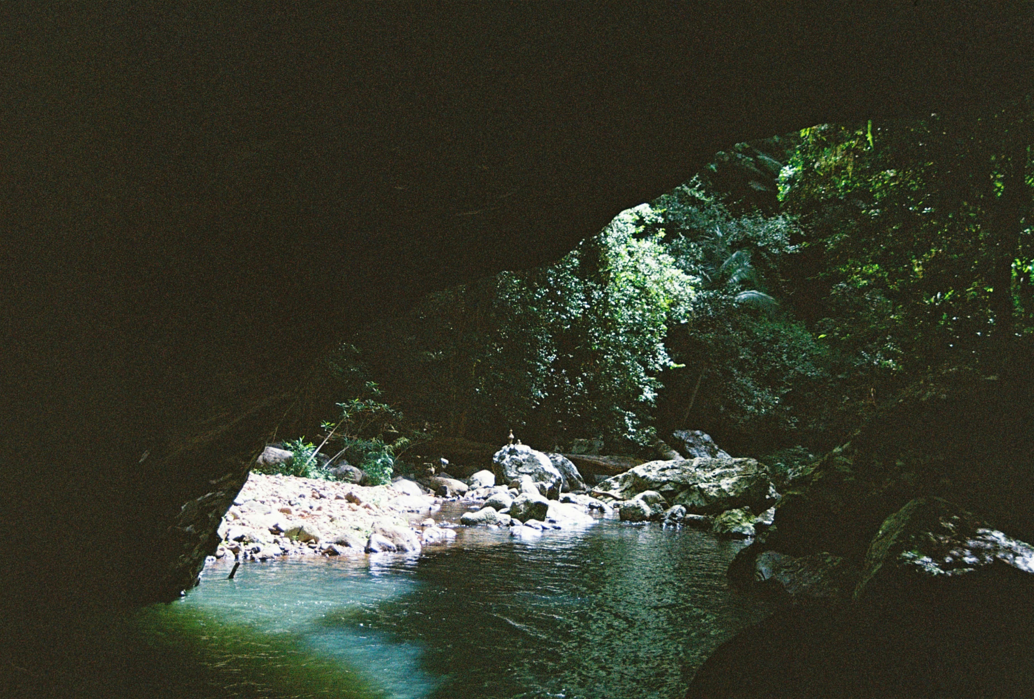 Harmon Den Wildlife Management Area