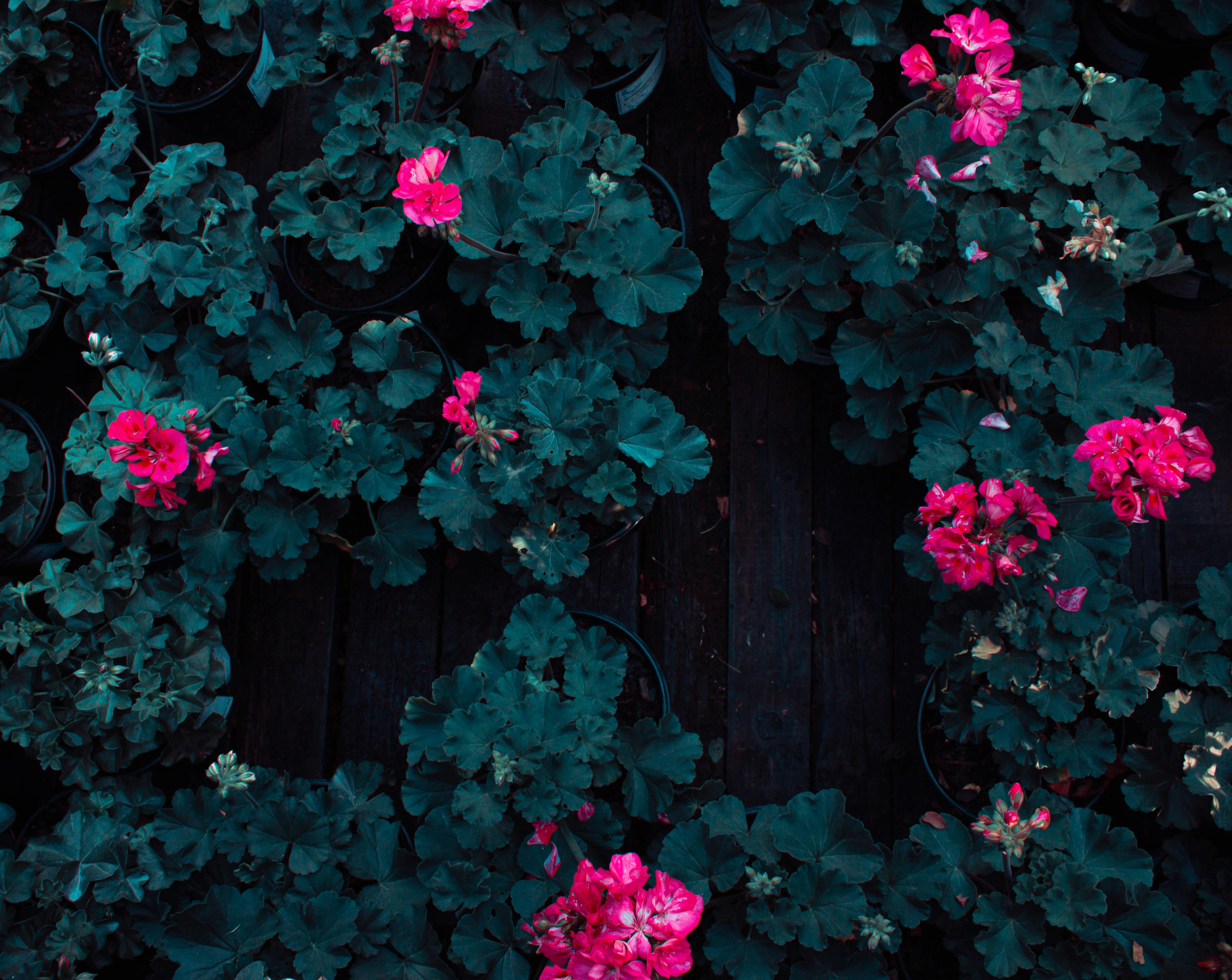 Photo by jerryneedscoffee