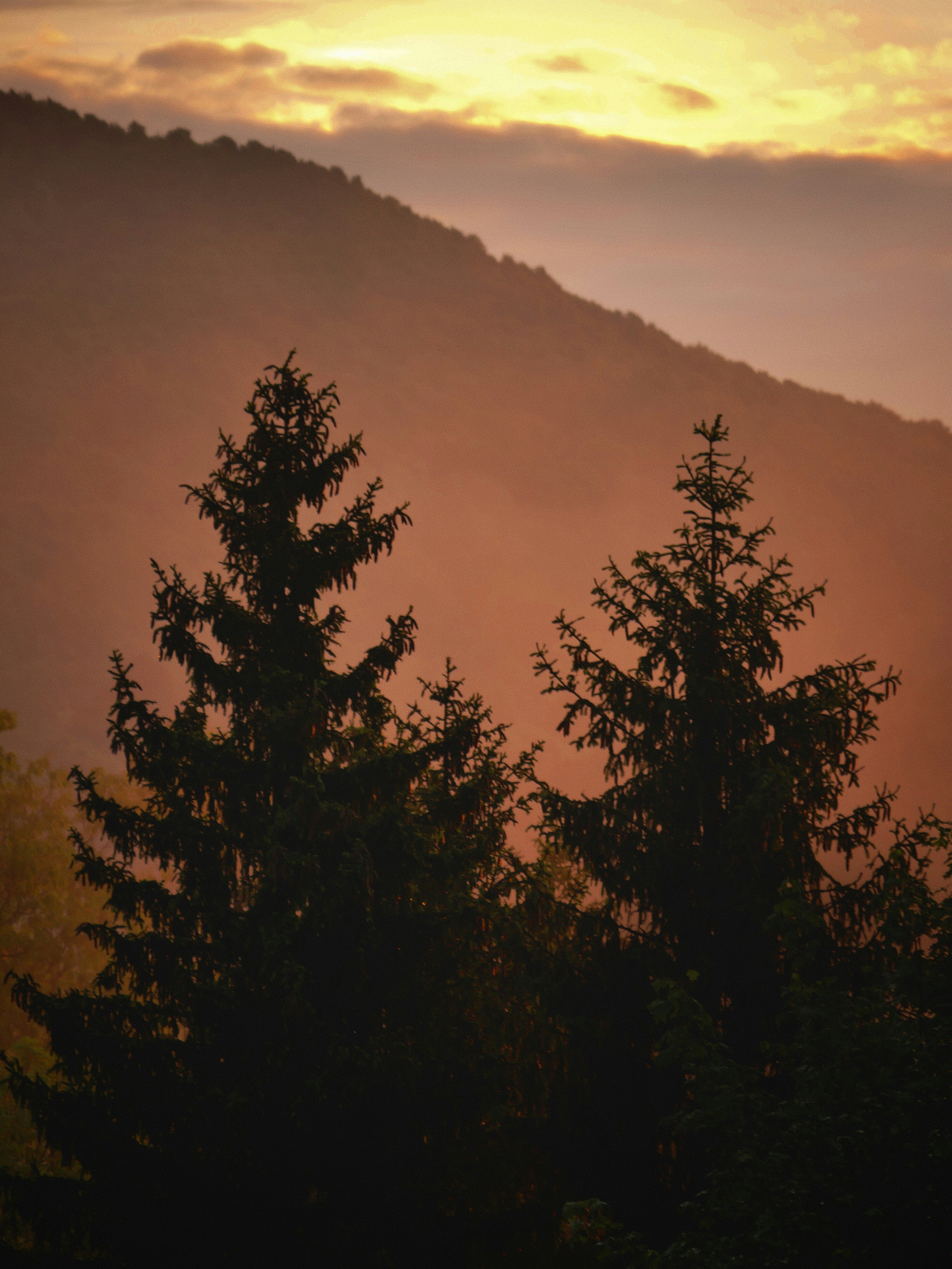 Photo by ruggeroguttilla