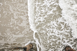 A framed video clip showing waves gently crashing on a sandy beach at sunset.