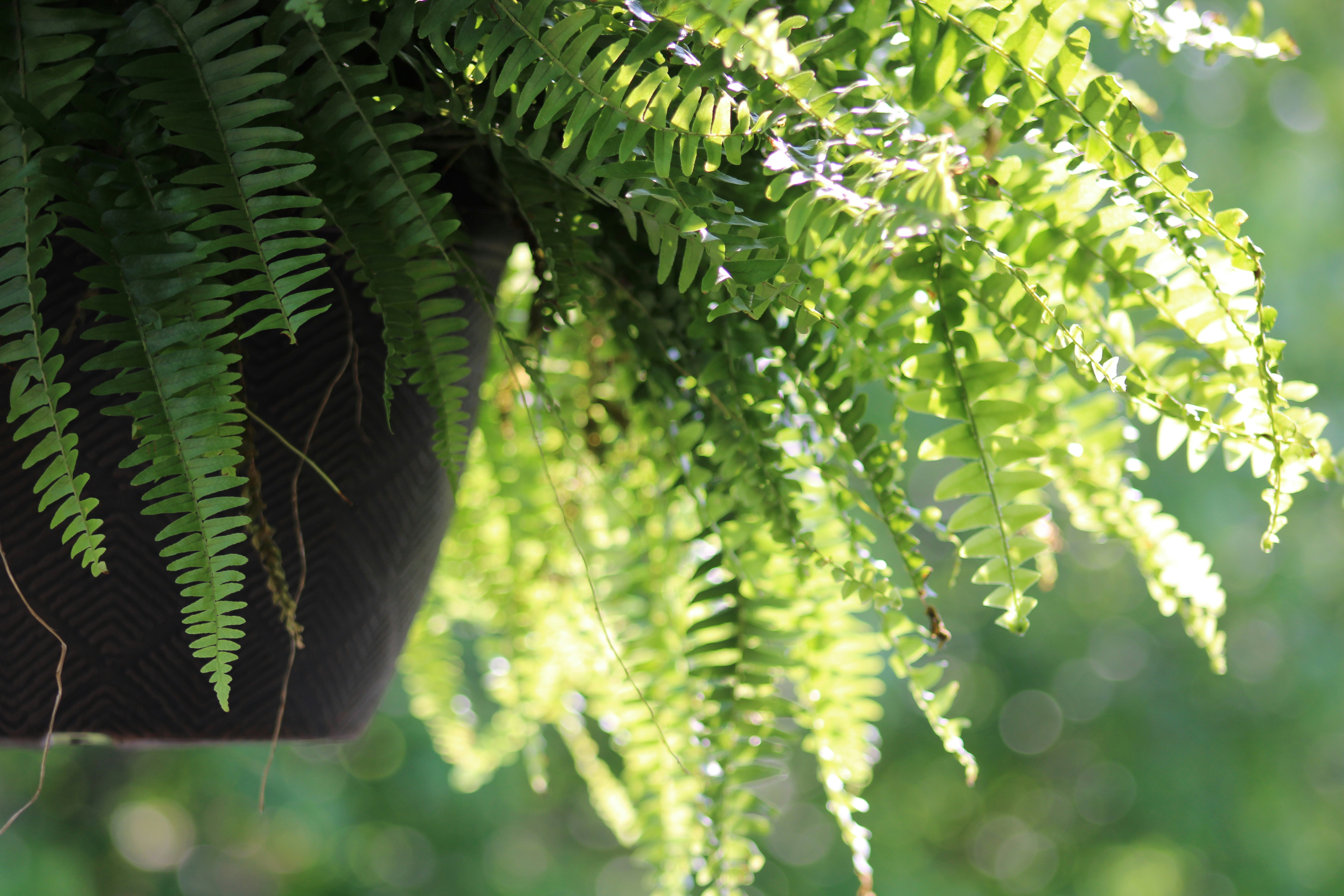 Photo by corinn_suess10