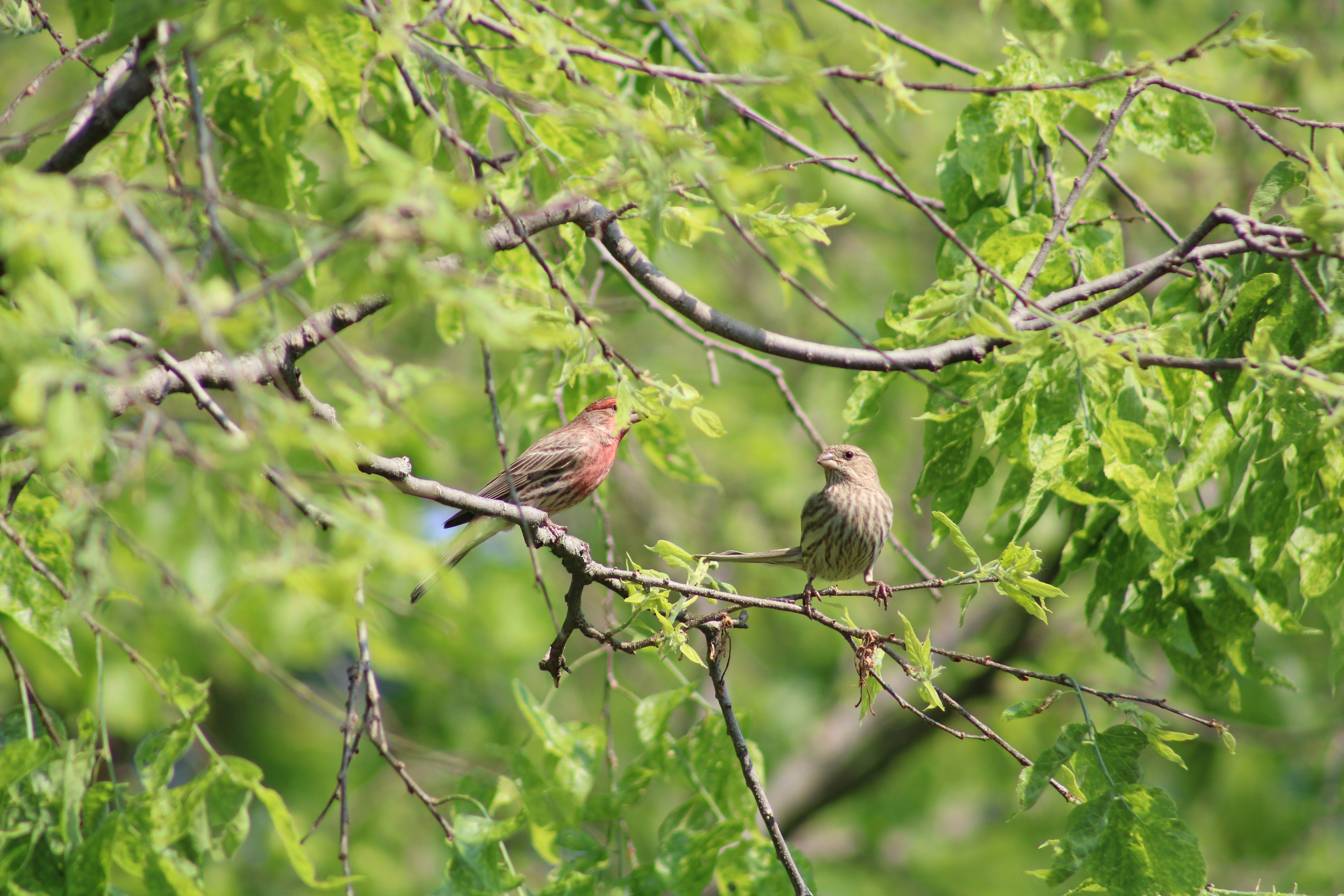 Photo by corinn_suess10