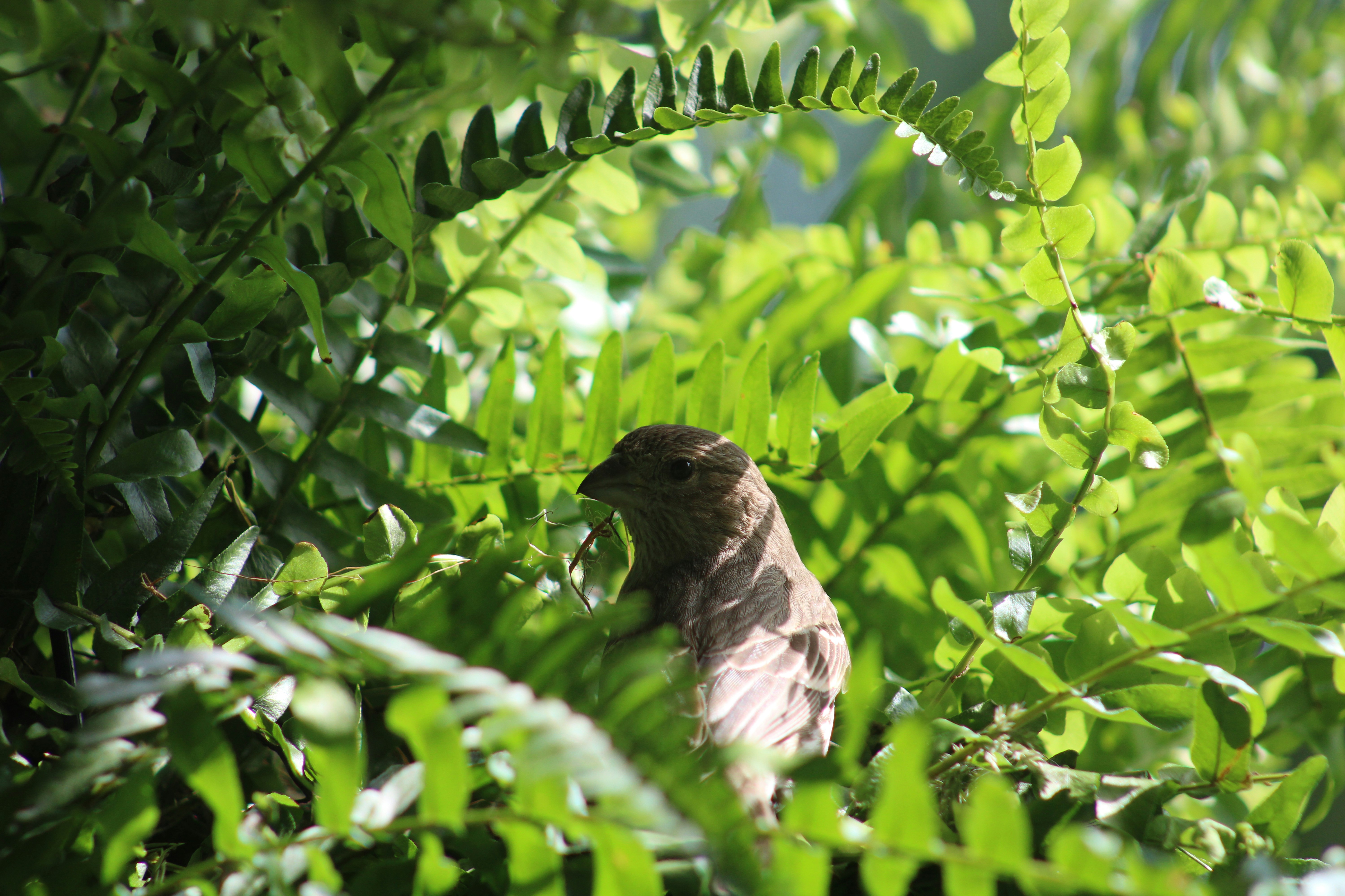 Photo by corinn_suess10