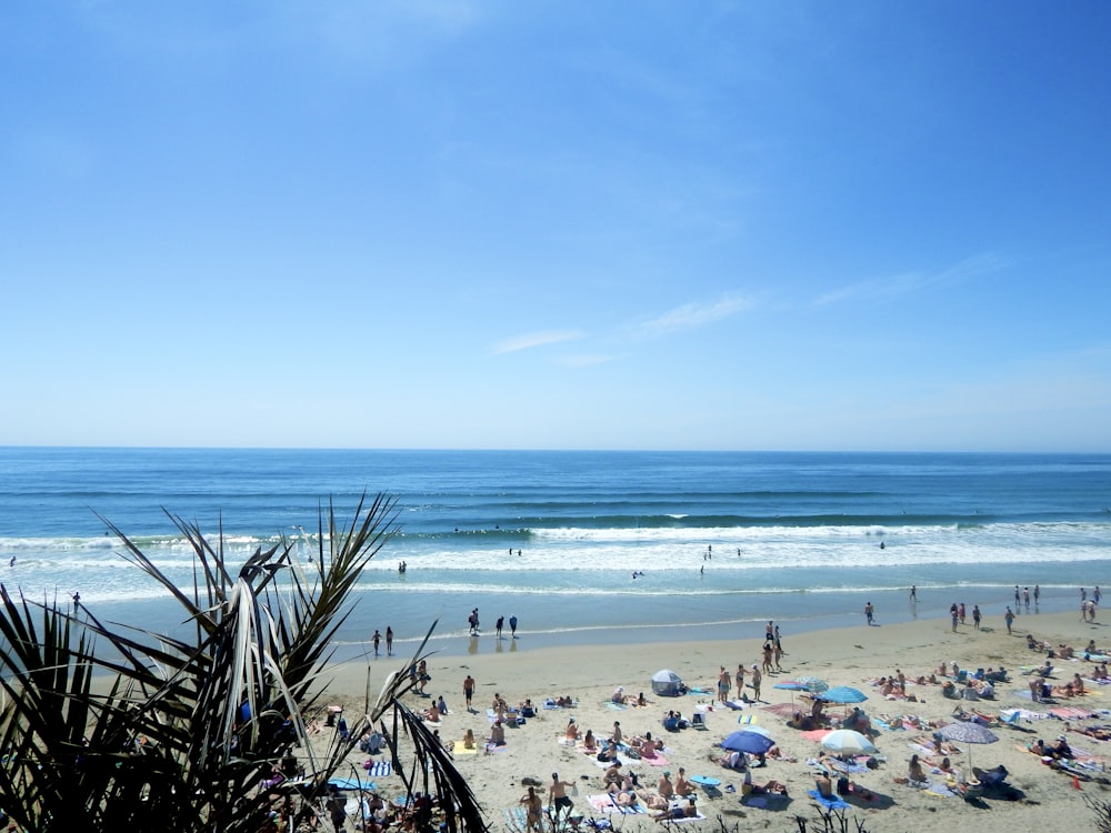 a beach filled with lots of people under a blue sky