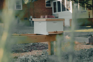 A beekeeper carefully installing a new hive box on a sunny day in a green urban garden.