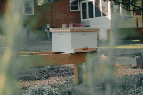 A white beehive box rests on a wooden stand in a backyard setting. The area features grass and foliage in the foreground, with a brick house and windows visible in the background. Sunlight filters through the trees, creating a serene atmosphere.