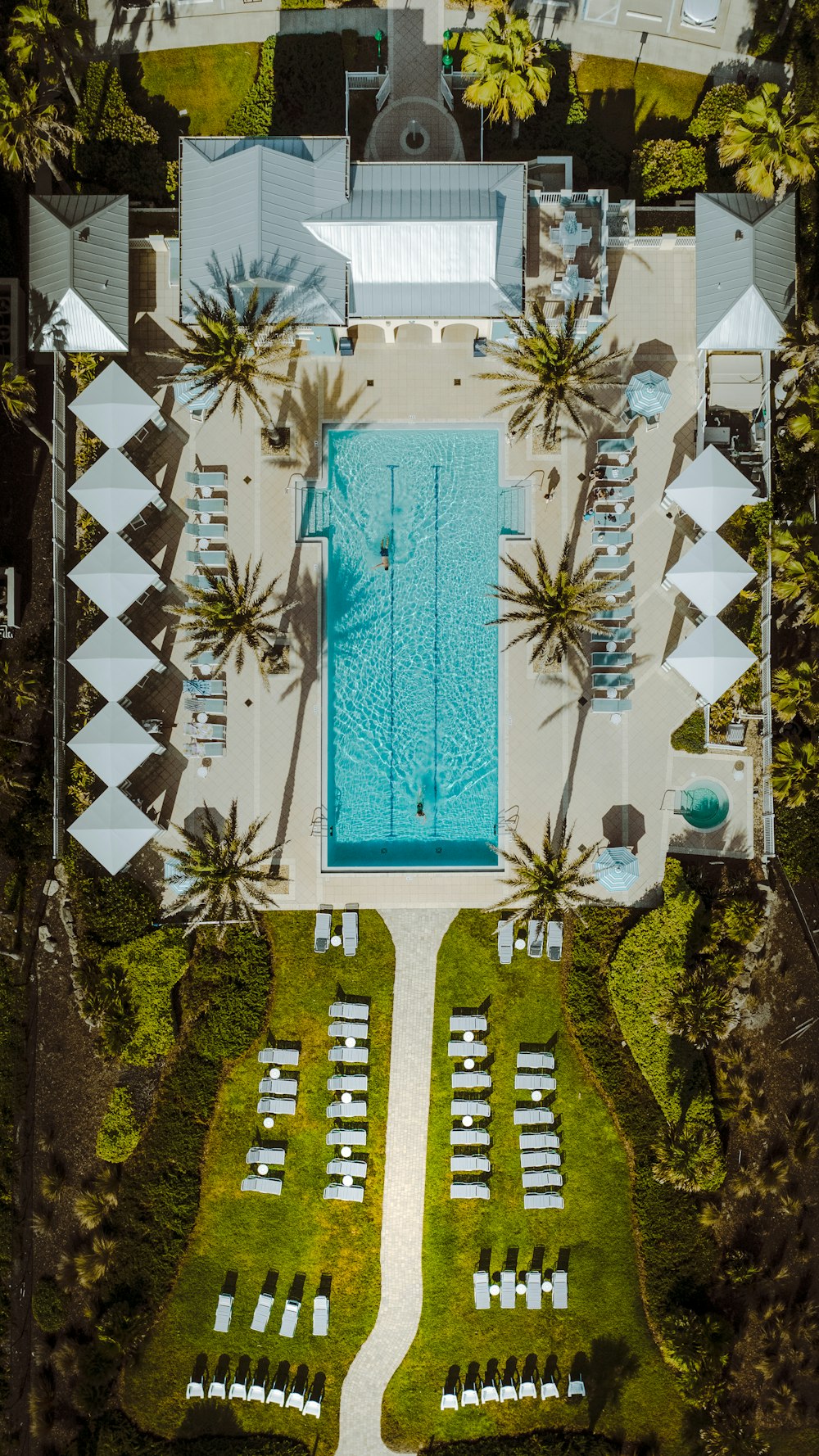 an aerial view of a pool surrounded by palm trees