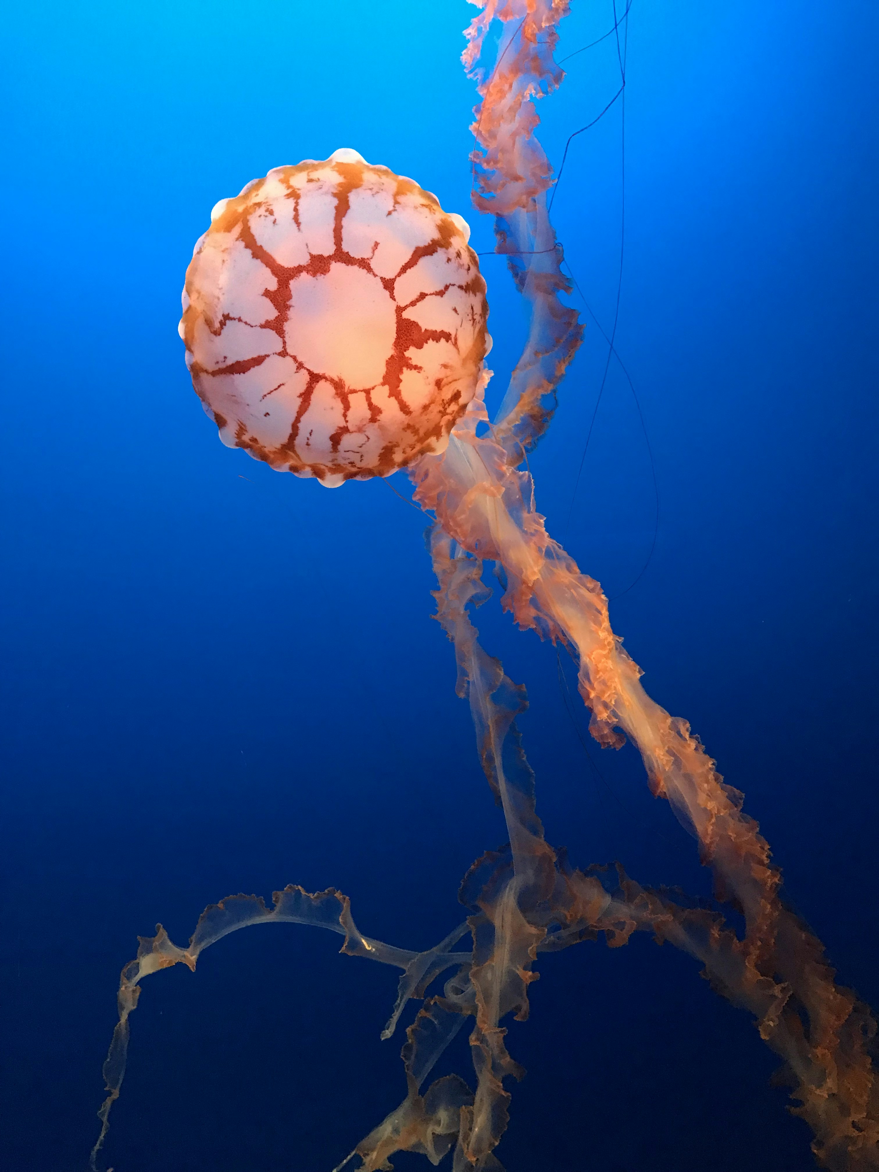 Photo by sweetsimplesunshine