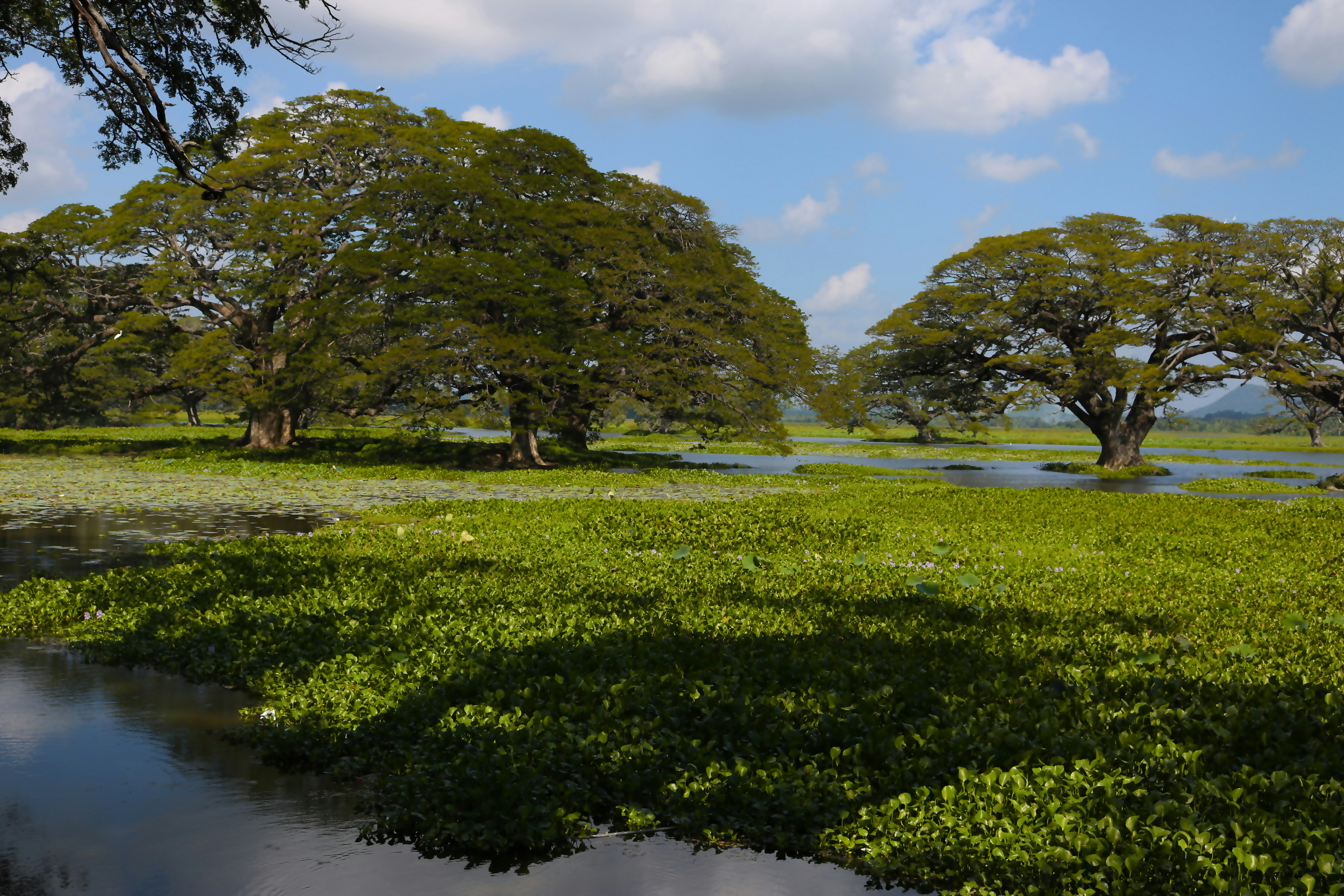 Photo by raviphotography90