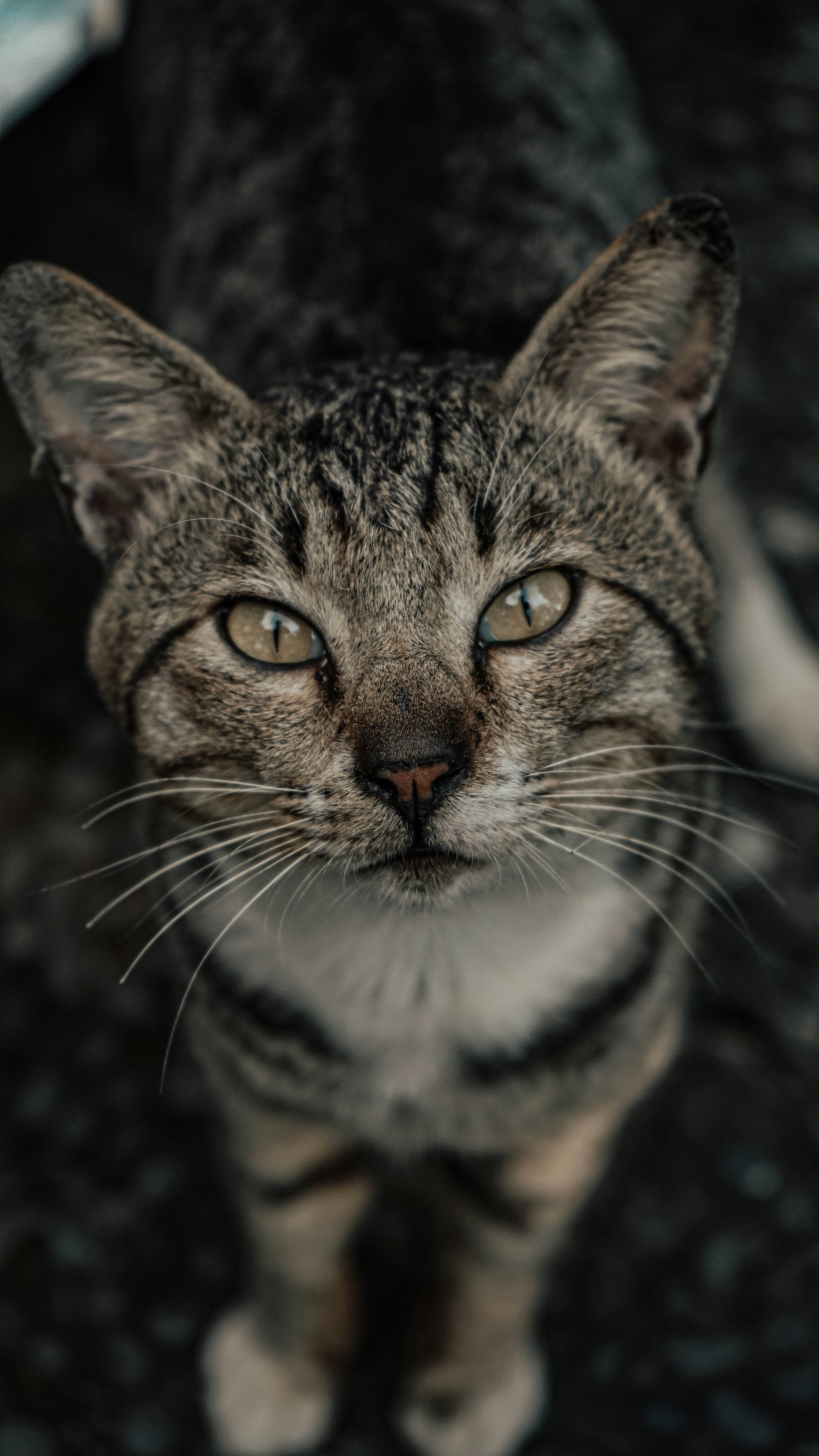 Photo by wildanmaulana11