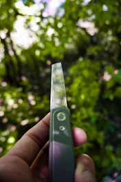 Close-up of hands holding a handcrafted bushcraft knife against a backdrop of wilderness.