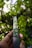 A hand holding a pocket knife with a decorative blade, featuring intricate patterns. The background is a blur of green foliage, suggesting a natural outdoor setting.