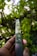 A hand holding a pocket knife with a decorative blade, featuring intricate patterns. The background is a blur of green foliage, suggesting a natural outdoor setting.
