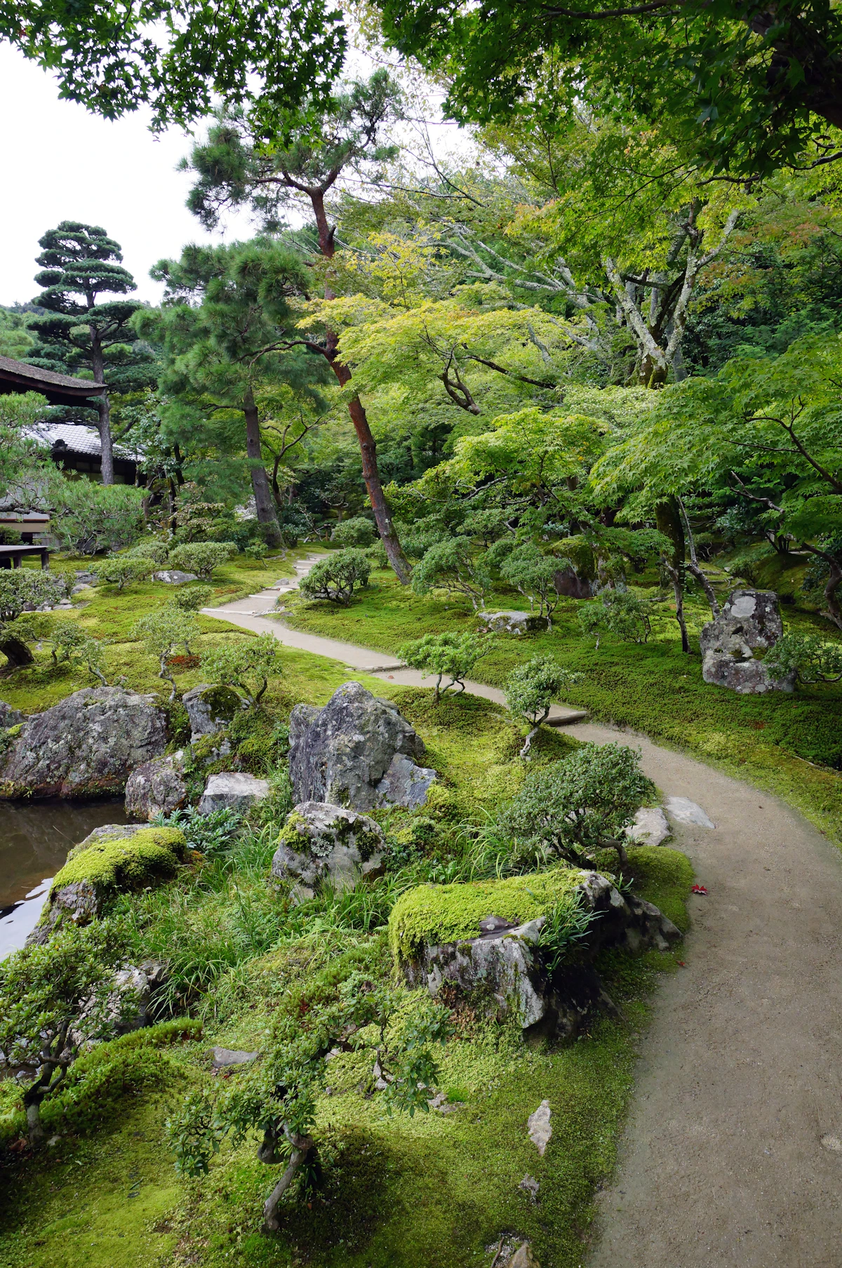 Japanese temple garden with moss-covered stones, winding gravel paths and mature trees, Kyoto
