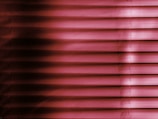 Horizontal blinds with a pink and magenta hue cover the entire frame, creating a pattern of alternating light and shadow.