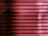Horizontal blinds with a pink and magenta hue cover the entire frame, creating a pattern of alternating light and shadow.