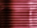 Horizontal blinds with a pink and magenta hue cover the entire frame, creating a pattern of alternating light and shadow.