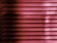 Horizontal blinds with a pink and magenta hue cover the entire frame, creating a pattern of alternating light and shadow.
