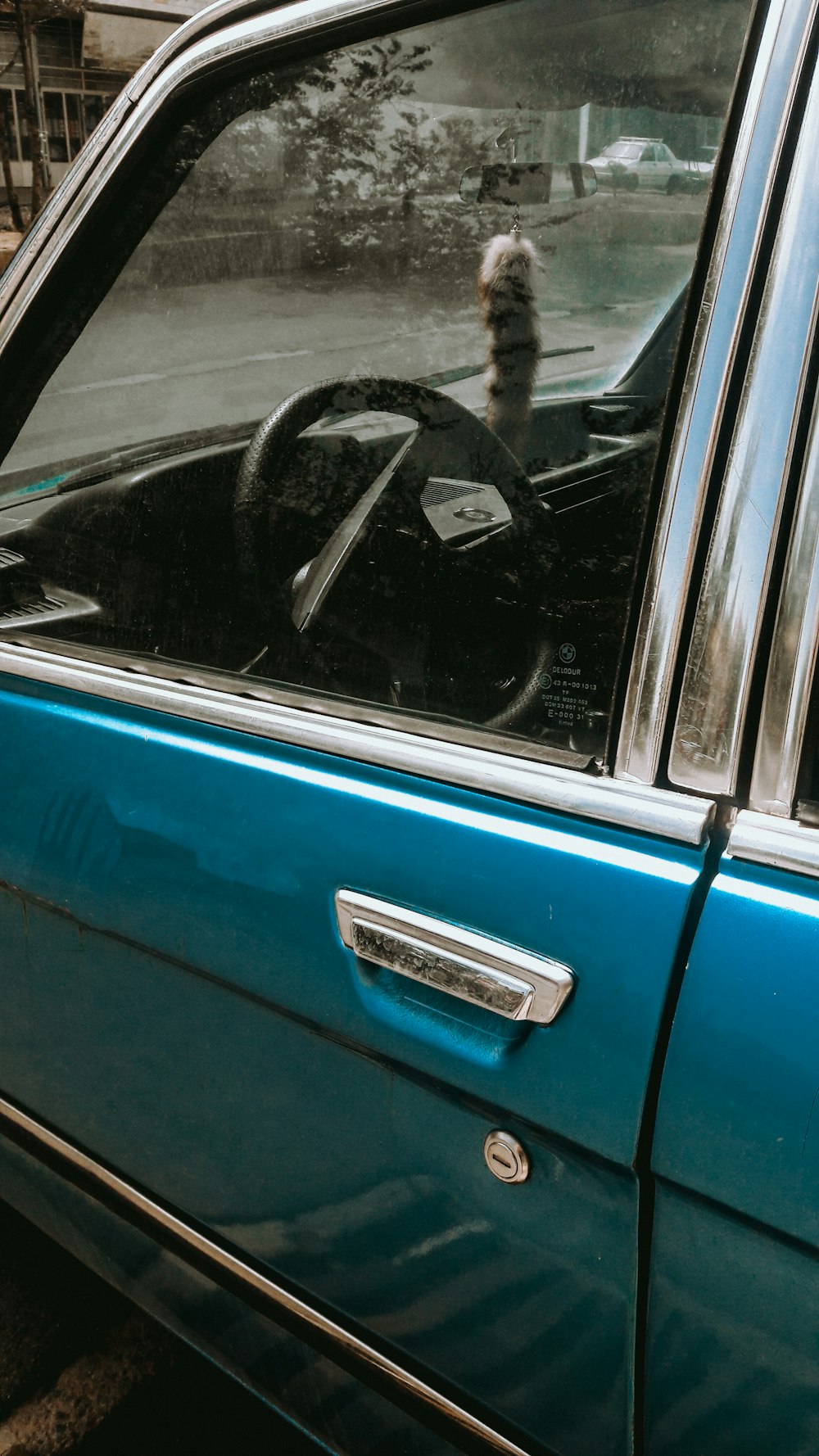 a dog sitting in the driver's seat of a car