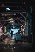 An indoor market scene with a dimly lit atmosphere, showcasing various metal beams and industrial elements on the ceiling. A person is seen walking down the corridor and another person is handling goods near a cart filled with boxes and bags. The environment appears busy yet somewhat subdued.