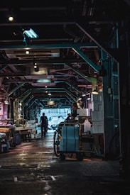 An indoor market scene with a dimly lit atmosphere, showcasing various metal beams and industrial elements on the ceiling. A person is seen walking down the corridor and another person is handling goods near a cart filled with boxes and bags. The environment appears busy yet somewhat subdued.