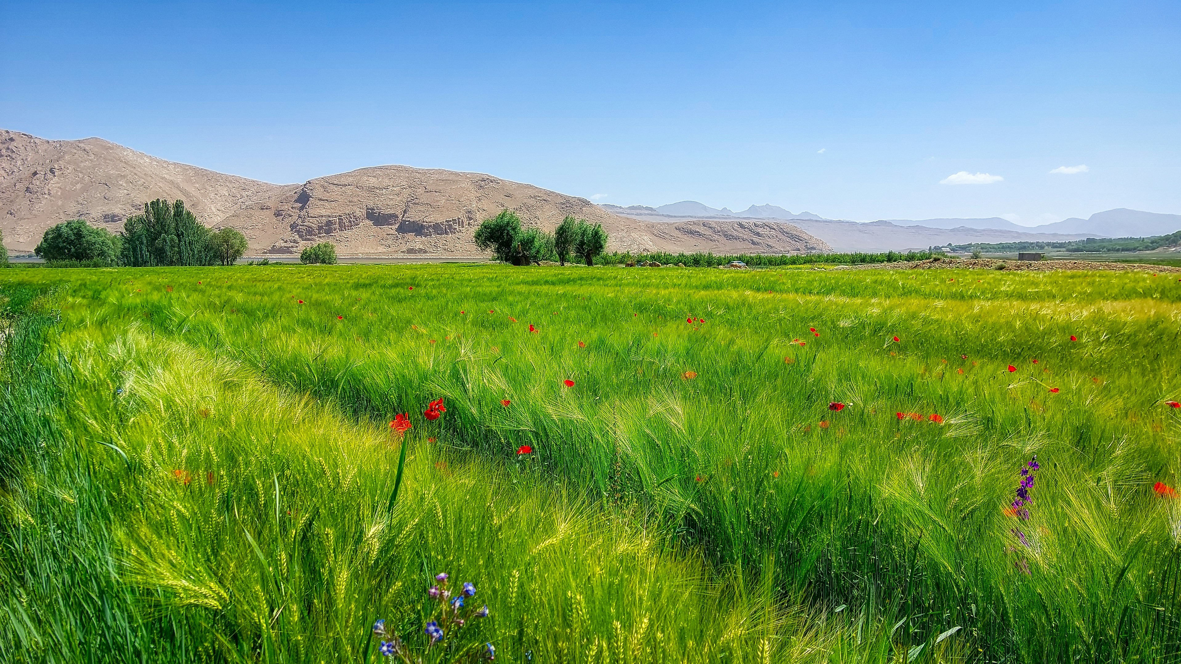 Photo by aliarjmandi