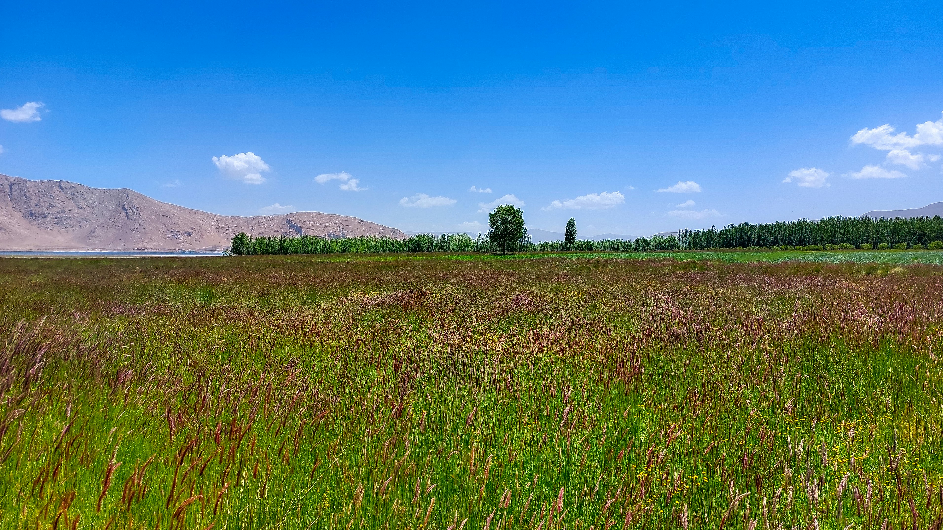 Photo by aliarjmandi