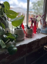 A windowsill garden with several potted plants. The pots have animal faces, adding a whimsical touch. Lush green leaves from a pothos plant cascade over the edge, while other foliage in red vases adds contrast. The background shows an outdoor scene with blurred buildings and sky.