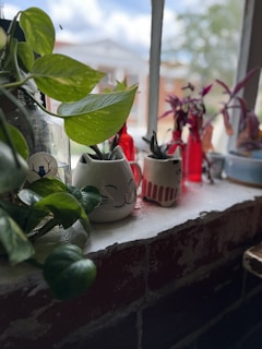A windowsill garden with several potted plants. The pots have animal faces, adding a whimsical touch. Lush green leaves from a pothos plant cascade over the edge, while other foliage in red vases adds contrast. The background shows an outdoor scene with blurred buildings and sky.