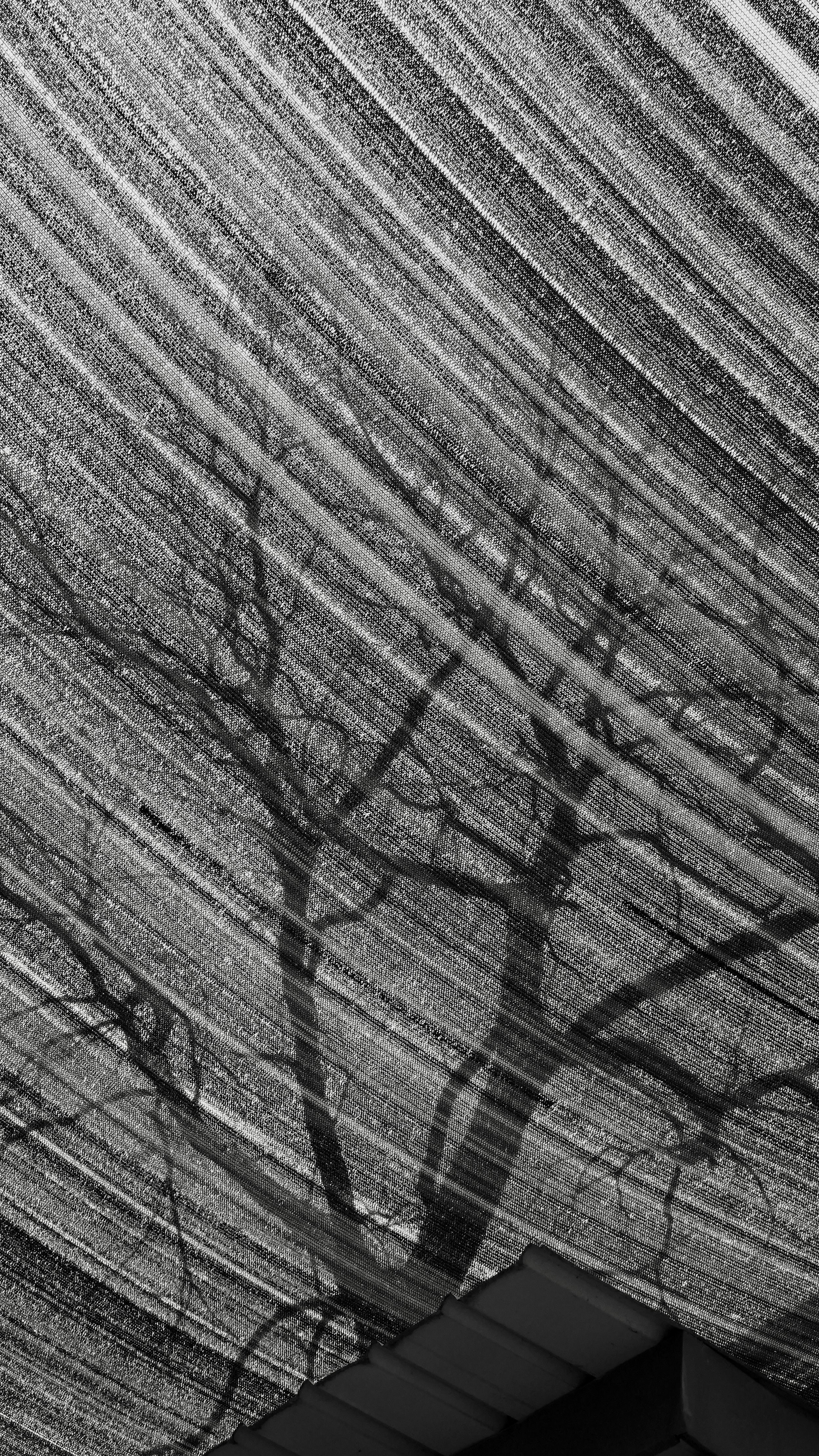 Photo by dlfornothing