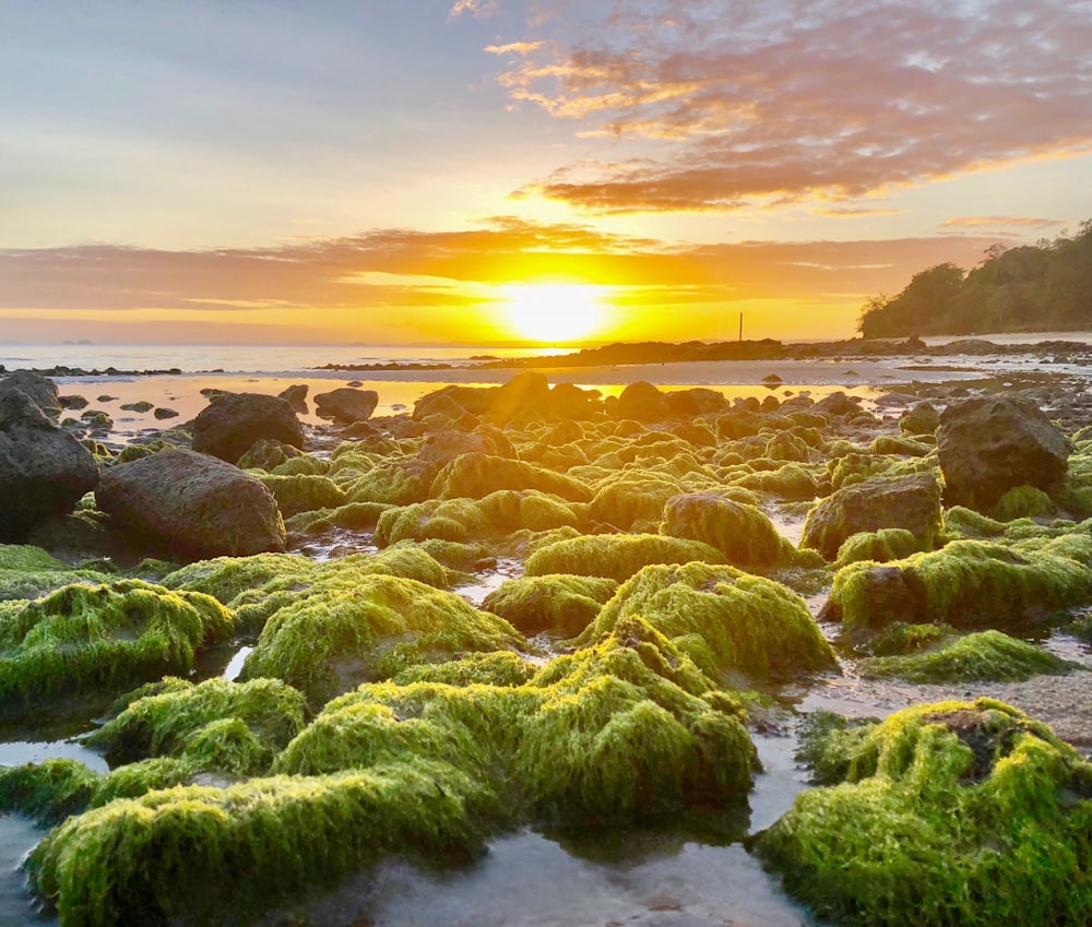 the sun is setting over a rocky beach