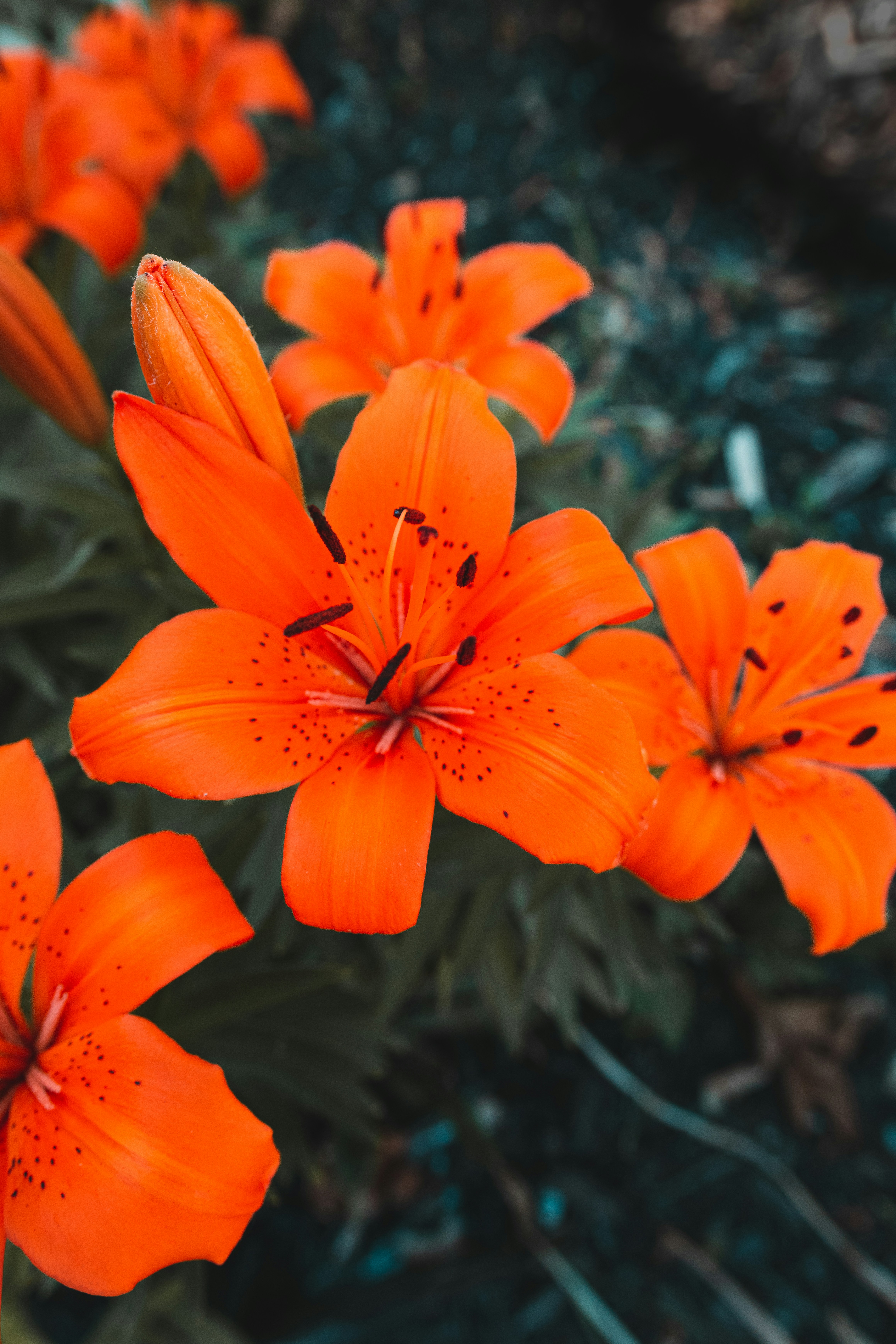 Photo by storywright