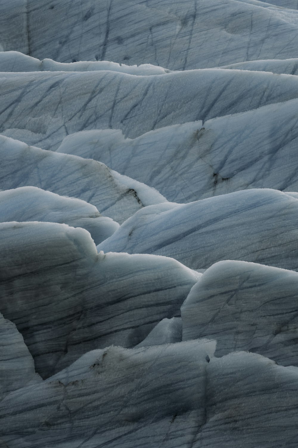 Un oiseau se tient au bord d’un glacier