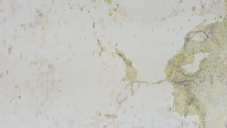 Close-up of a wall being repaired and waterproofed to protect against weather damage.