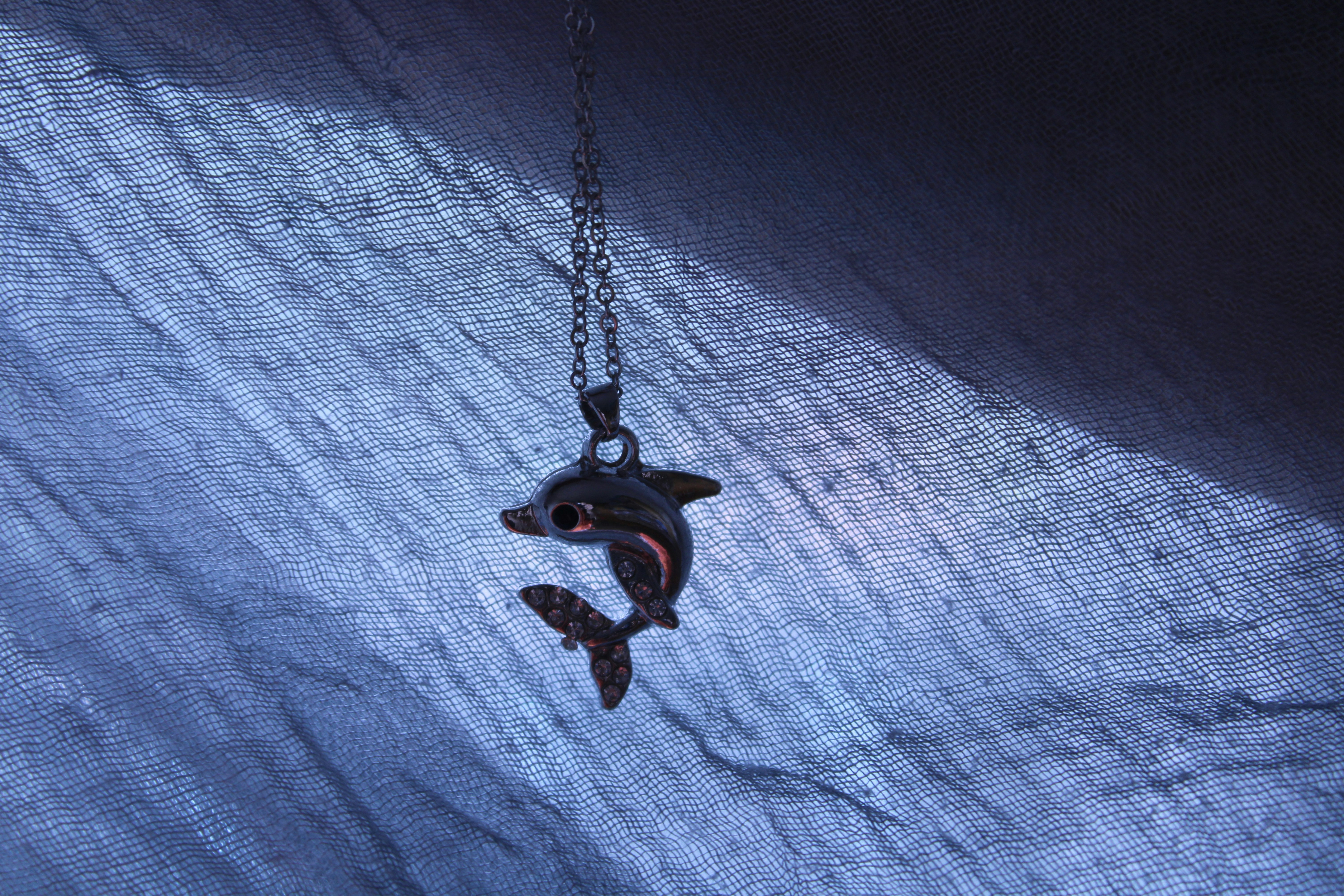 [hikaye] : 1 Seviye karakter Gizli atışta öldürüldü