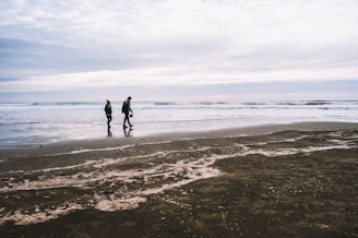 Two people walking on a beach next to the ocean