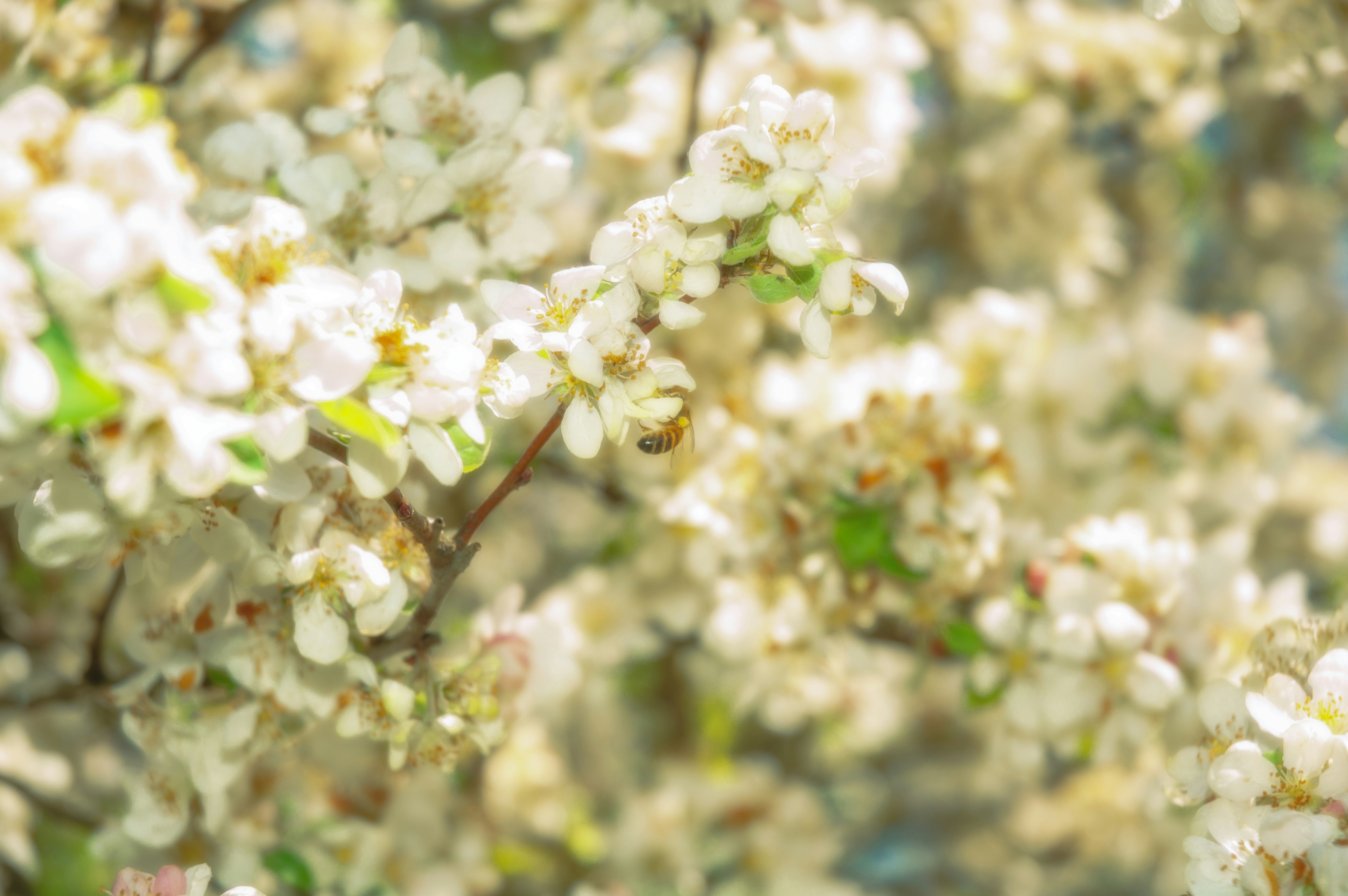 Photo by gabrielb2007