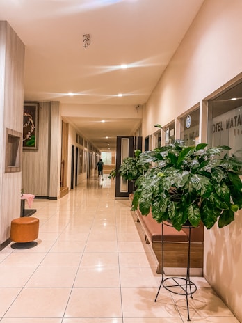 A well-lit hotel corridor with tiled floors, cream-colored walls, and various potted plants placed along the walkway. The hall extends into the distance, with doors on both sides, and a person walking in the background. There are light fixtures evenly spaced on the ceiling and pieces of furniture like a small round ottoman along the left wall.