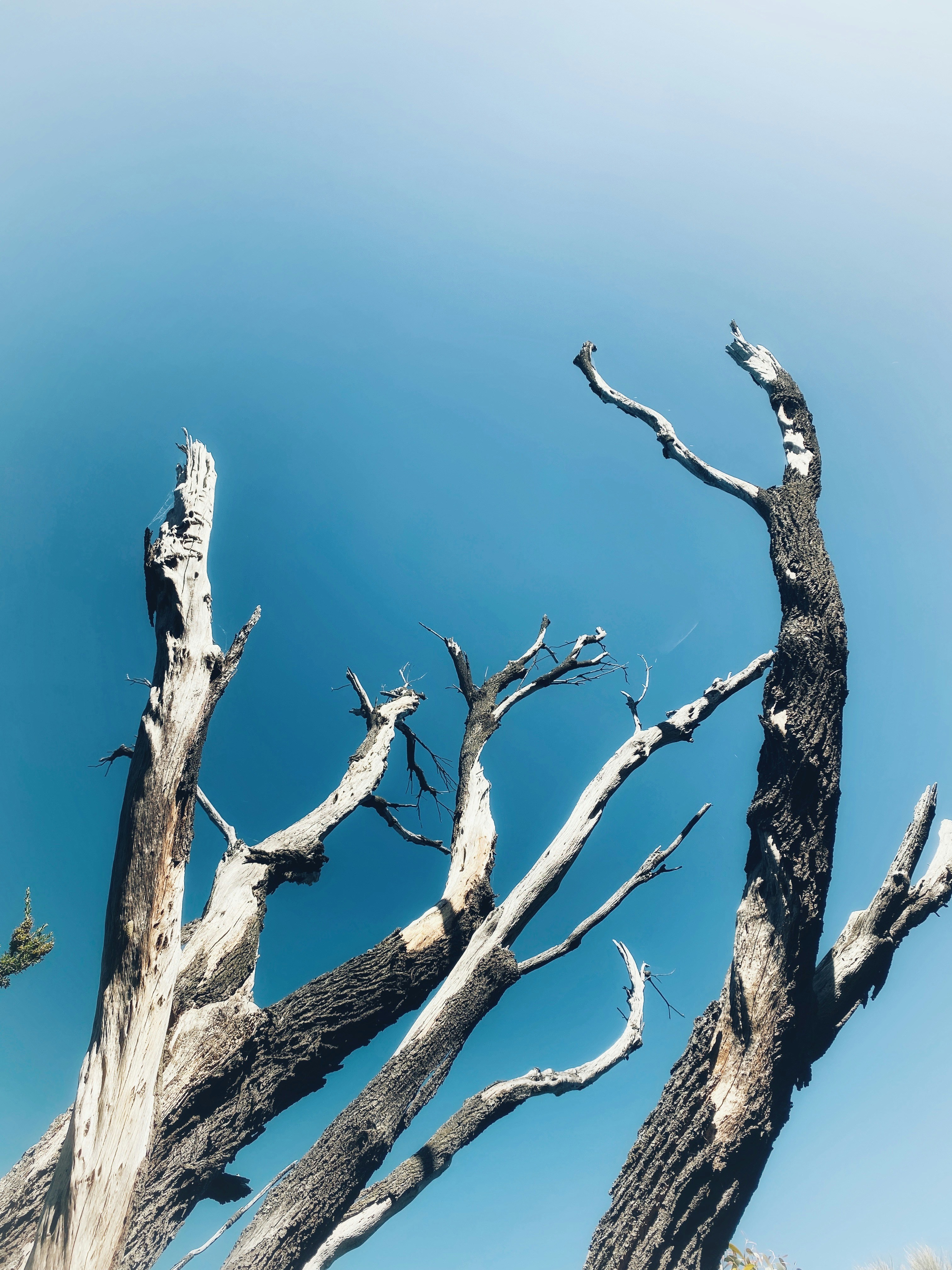 Photo by rhynophotography