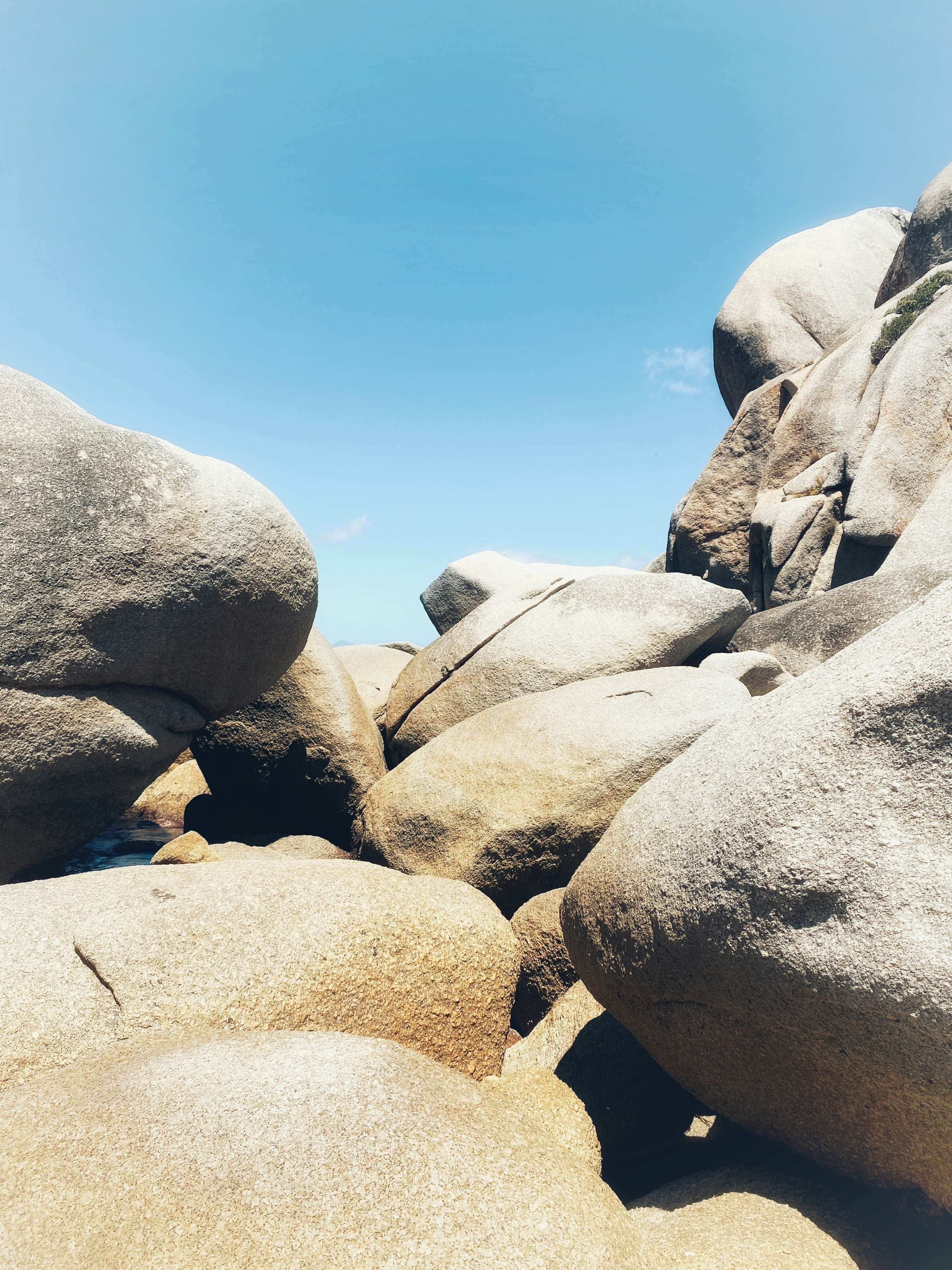 Photo by rhynophotography