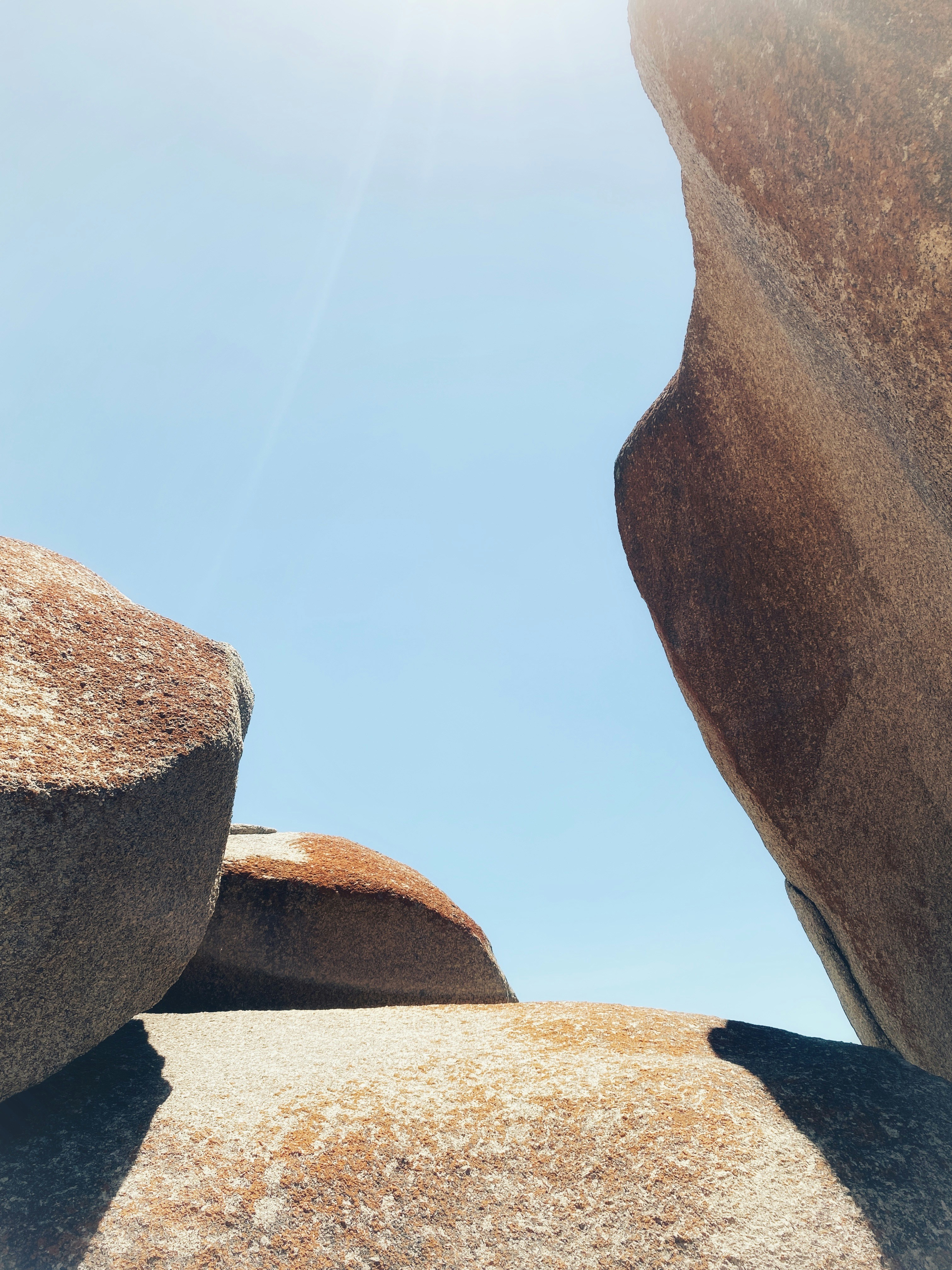 Photo by rhynophotography