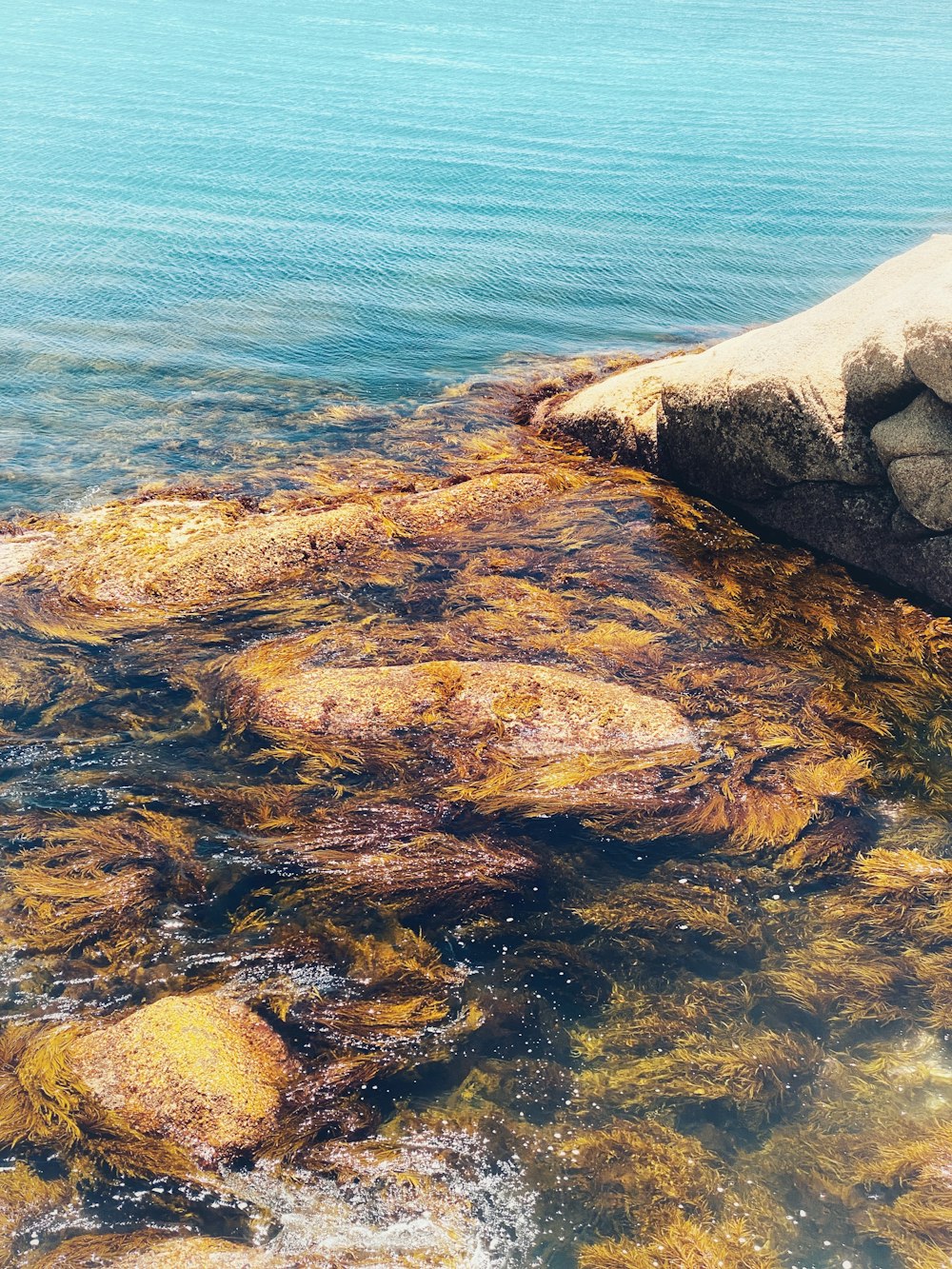 a body of water with rocks in it