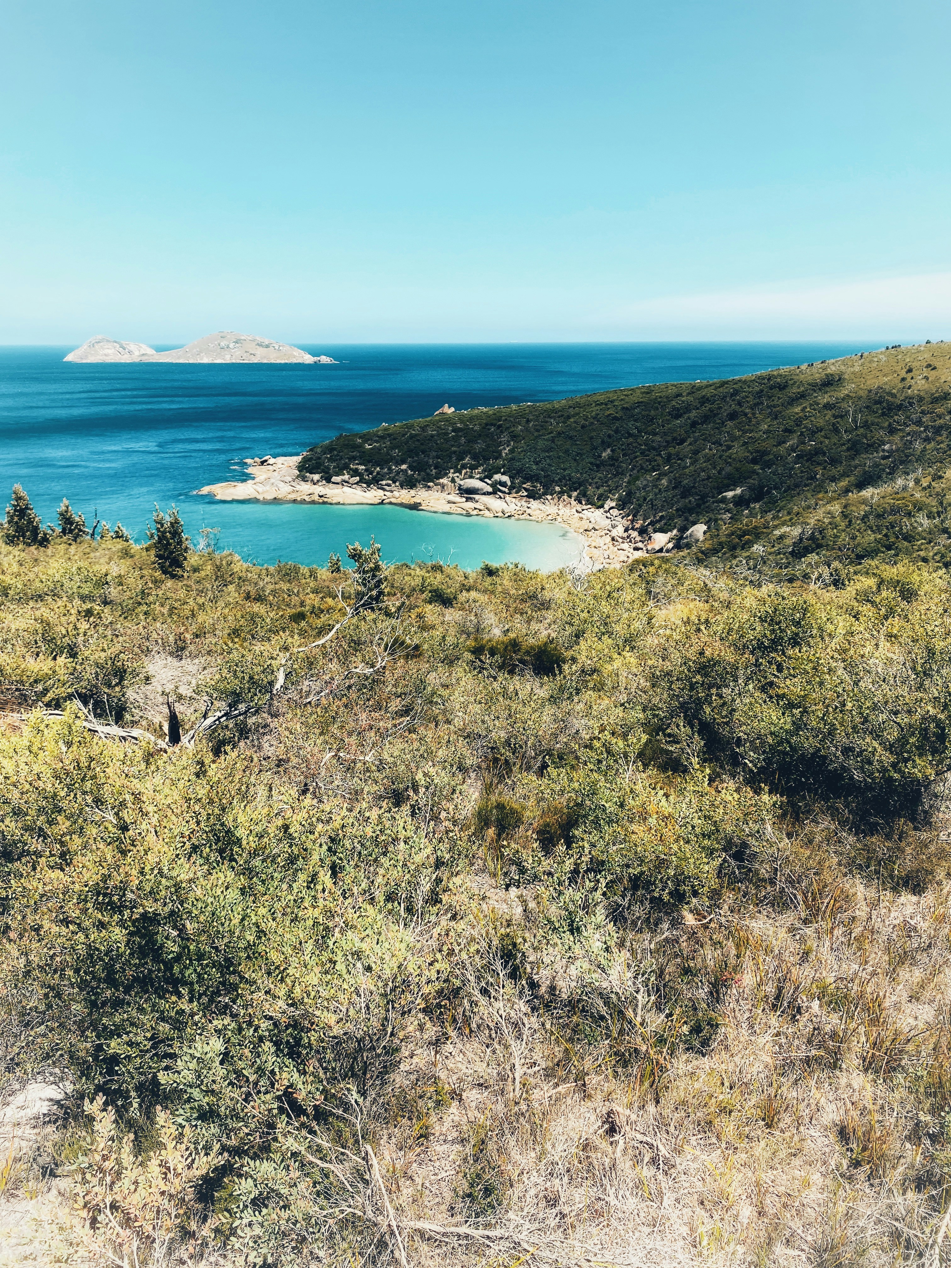 Photo by rhynophotography