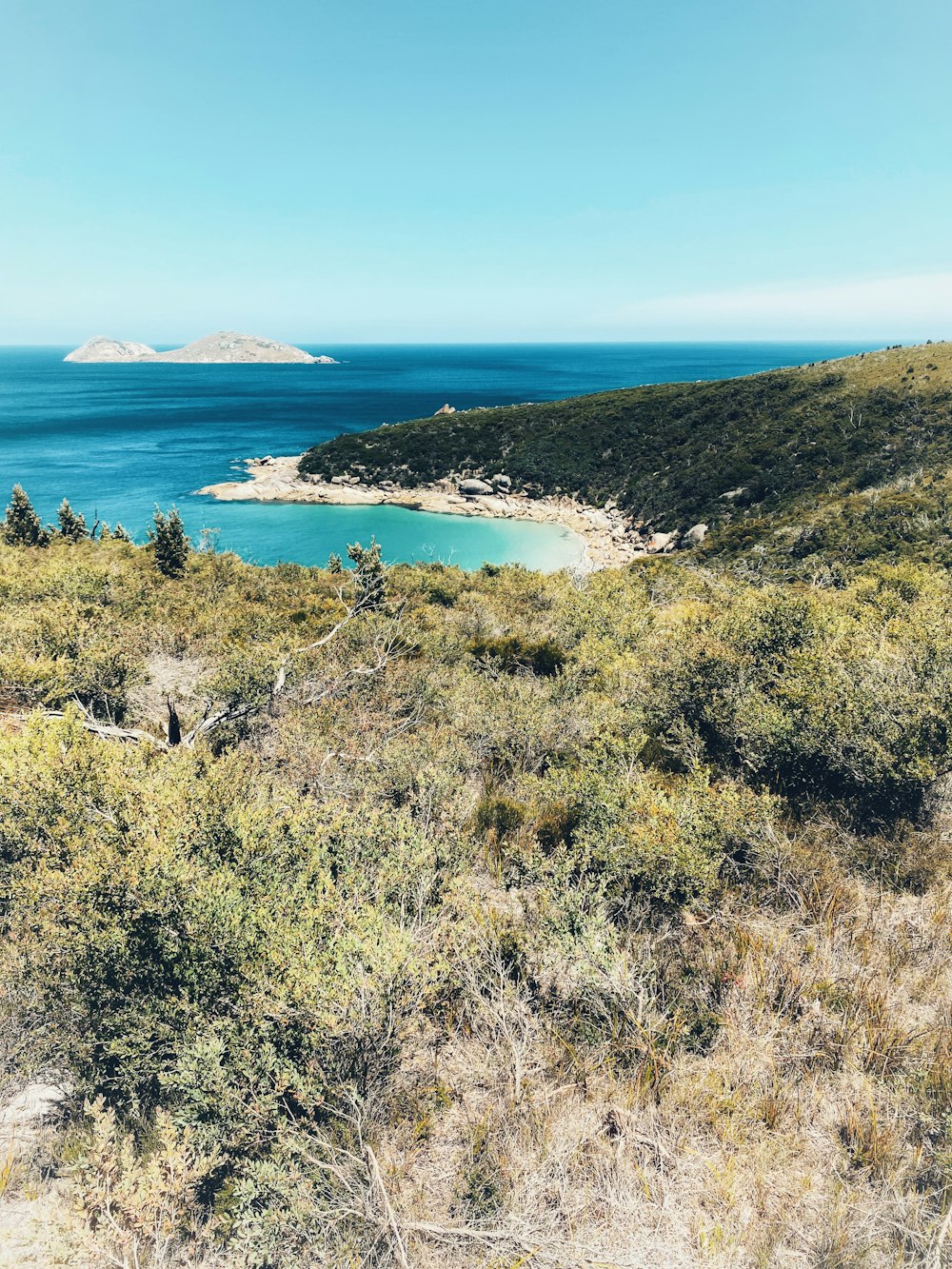 a view of a body of water from a hill