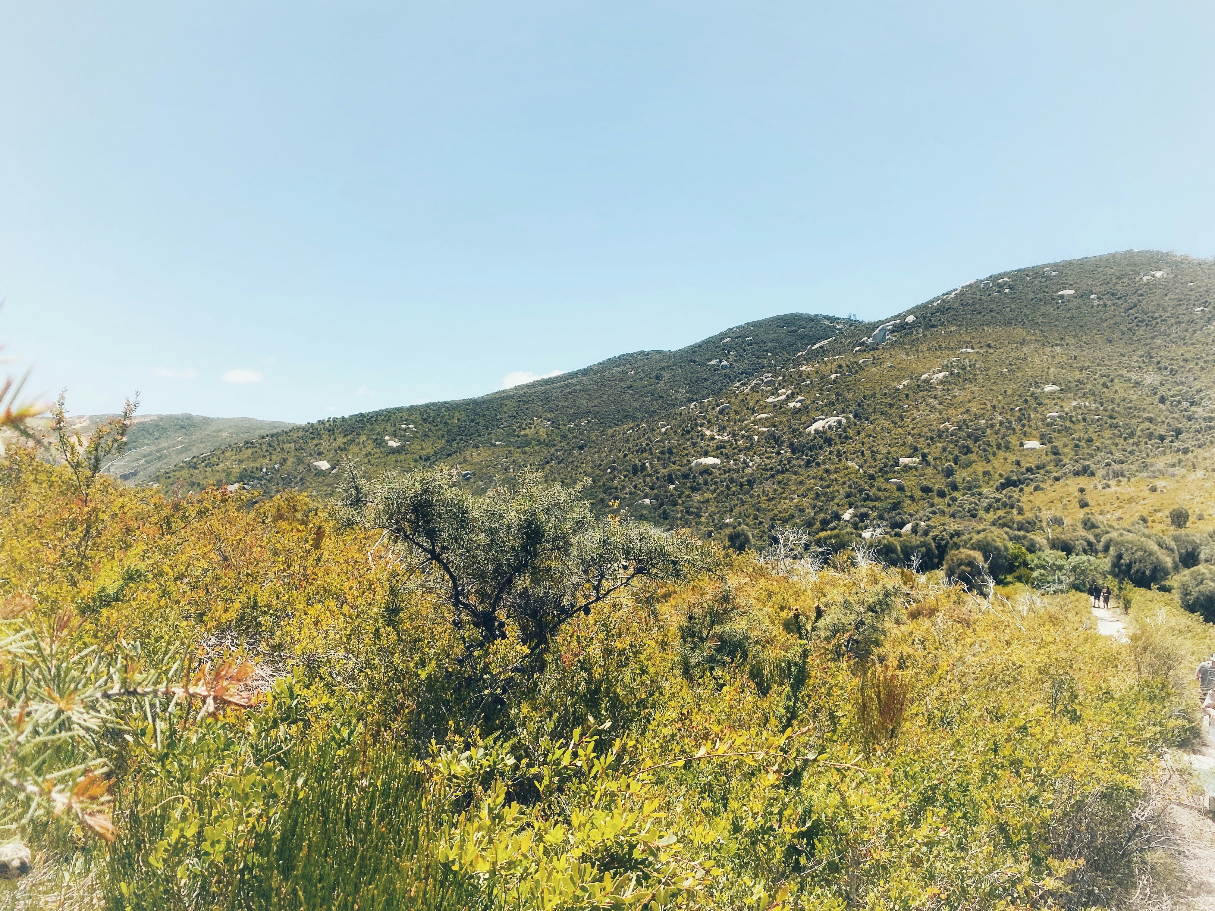 Photo by rhynophotography